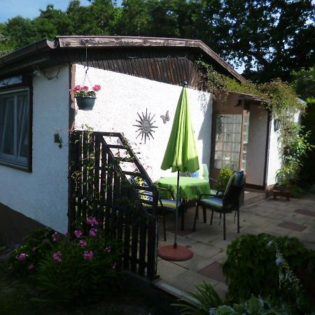 Ferienhaus Anne Thale Exterior photo