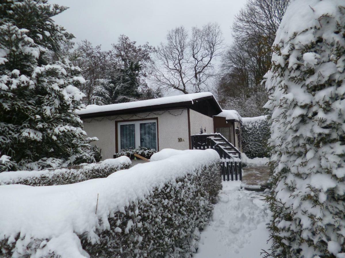 Ferienhaus Anne Thale Exterior photo